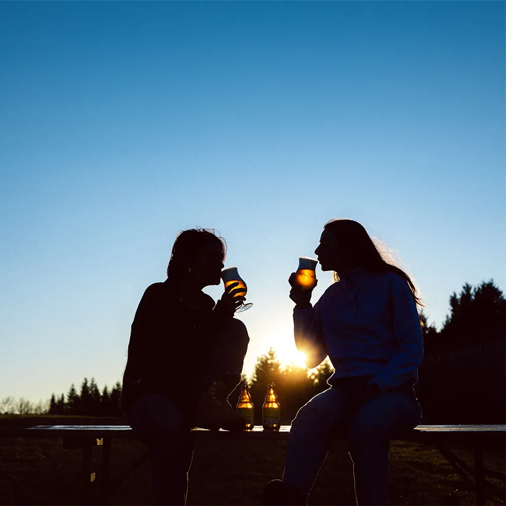 彩り光るセレクション